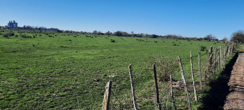 El campo donde se desarrolla Nueva Zelaya III