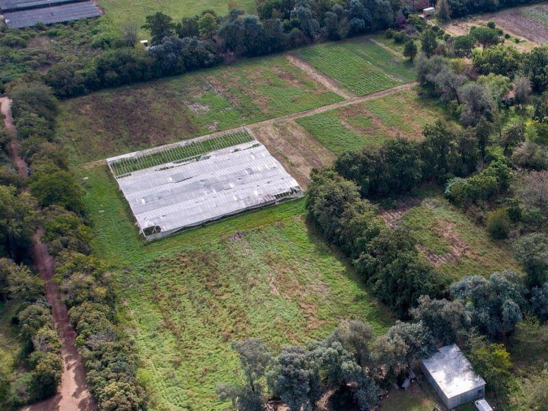 Vista aérea de la zona de viveros de Loma Verde, donde está Zorzal
